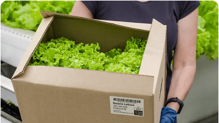 a cardboard box full of leafy greens