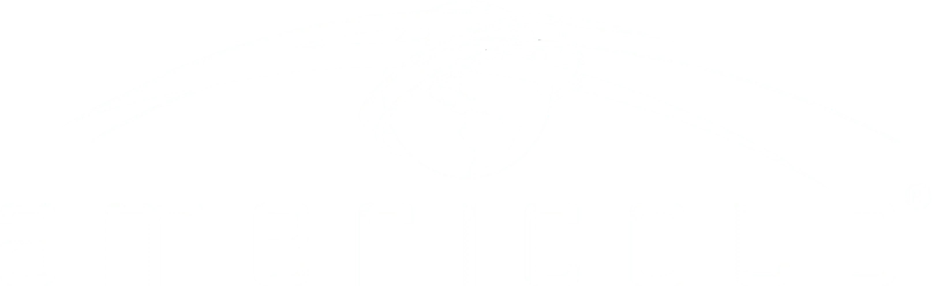 Americold logo
