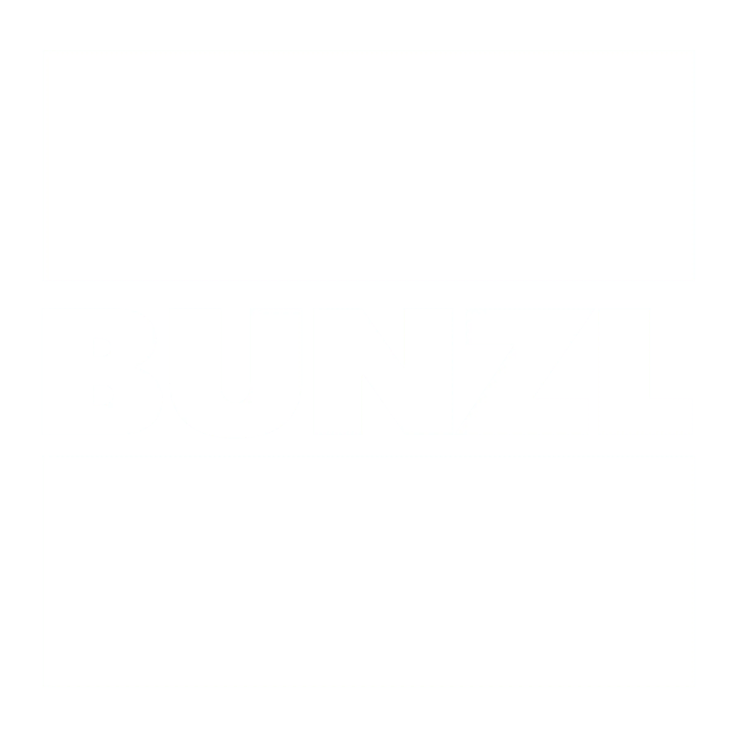 Bunzl logo