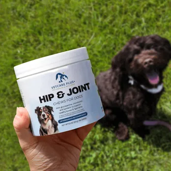 Hand holding Hip & Joint dog supplement label with black and white dog in green outdoor background