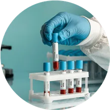 a gloved hand pulls a labeled test tube out of a test tube holder