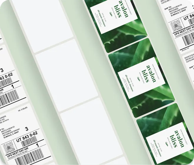 4 lanes of inkjet and thermal 4 x 6 label rolls strung out